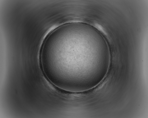 X0000088191181200705221656