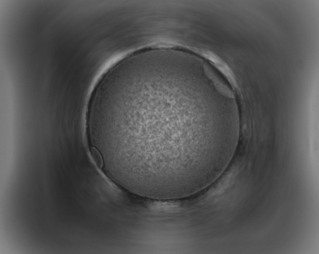 X0000088191183200705221656