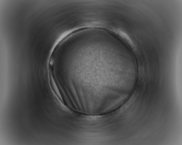 X0000088191184200705221656