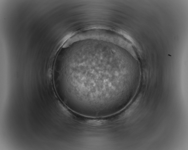 X0000088191185200705221656