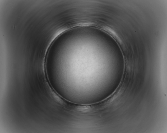 X0000088191186200705221656