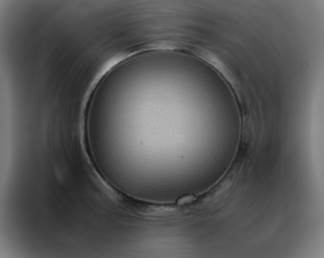 X0000088191187200705221656