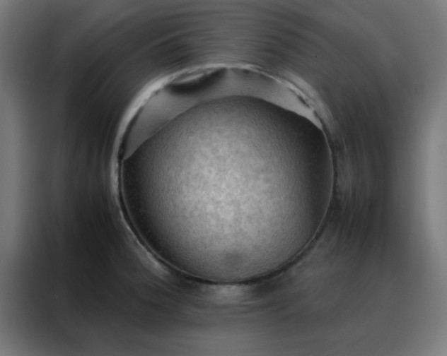 X0000088191188200705221656