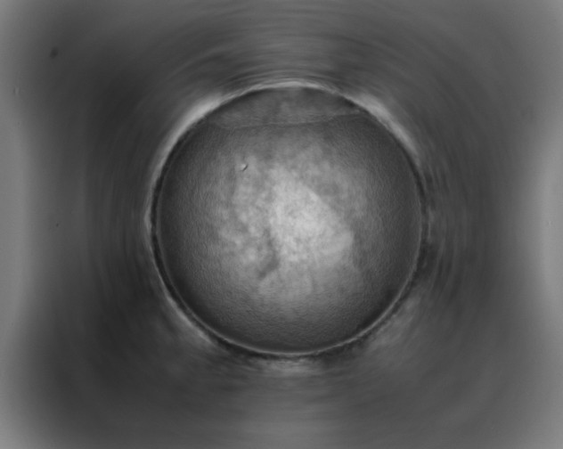 X0000088191189200705221656