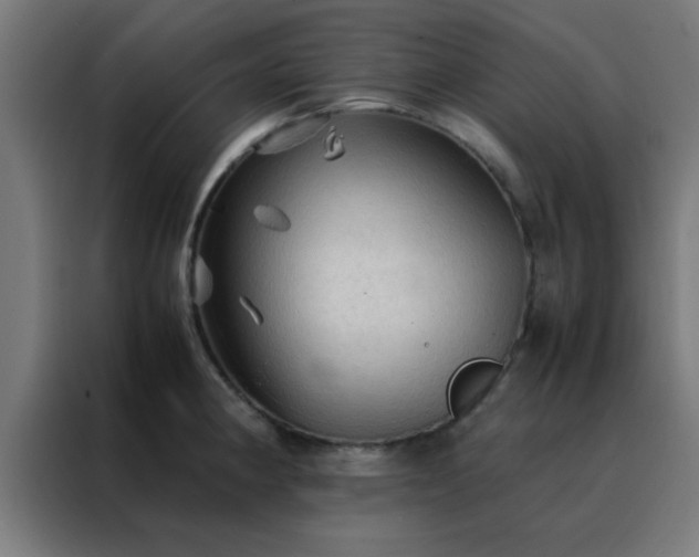 X0000088191190200705221656