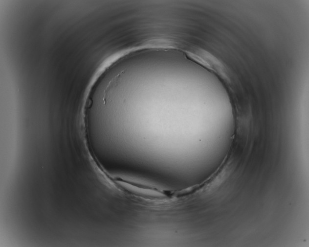 X0000088191192200705221656