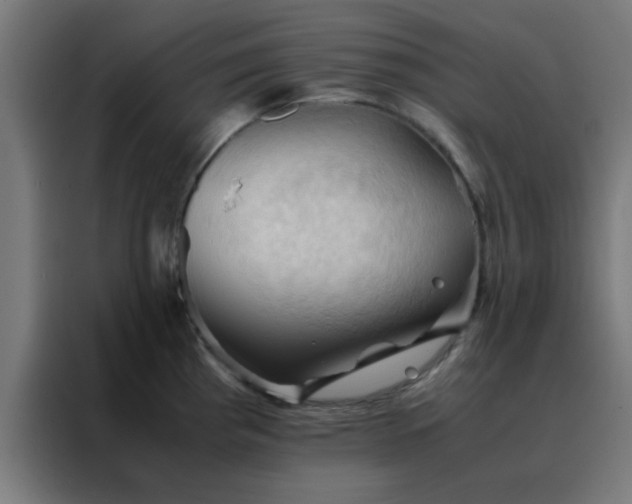 X0000088191193200705221656