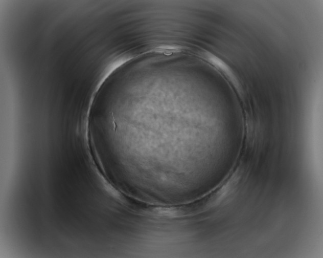 X0000088191194200705221656