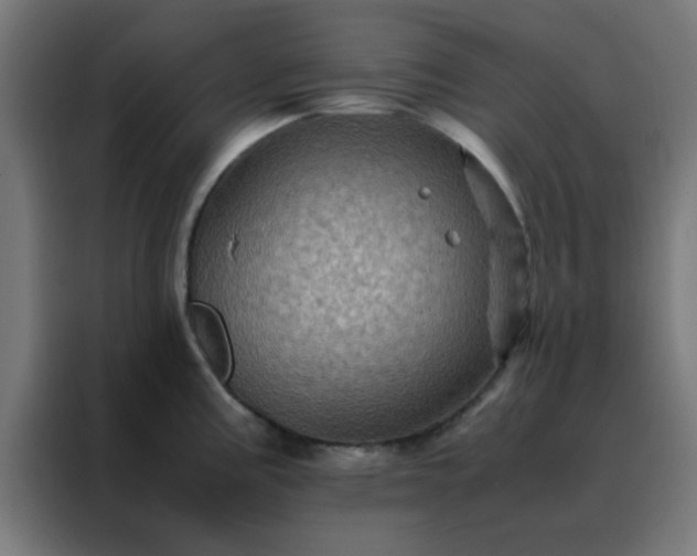 X0000088191195200705221656