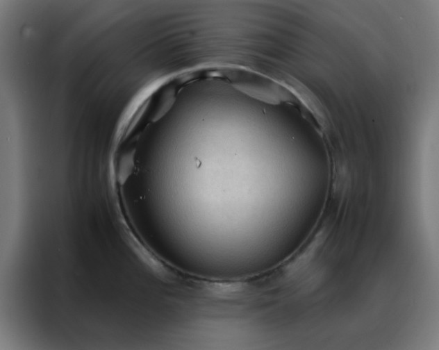 X0000088191196200705221656