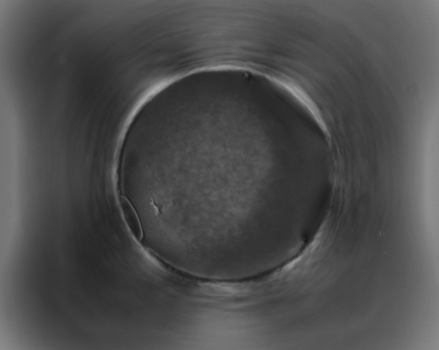 X0000088191197200705221656