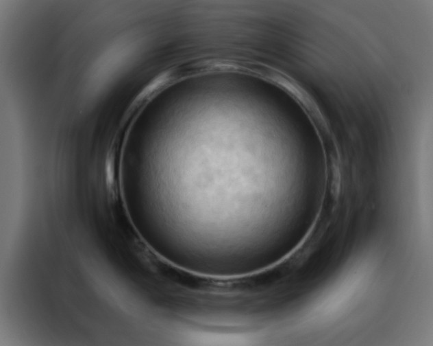 X0000088191198200705221656