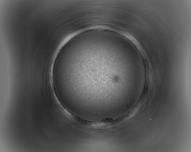 X0000088191199200705221656