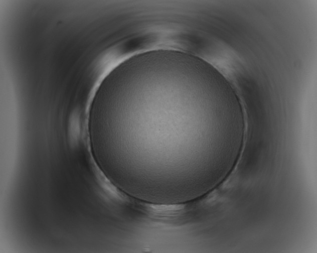 X0000088191200200705221656