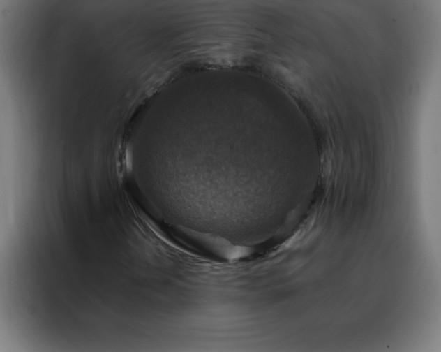 X0000088191202200705221655