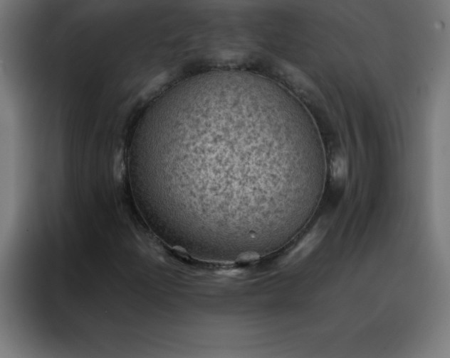 X0000088191204200705221655