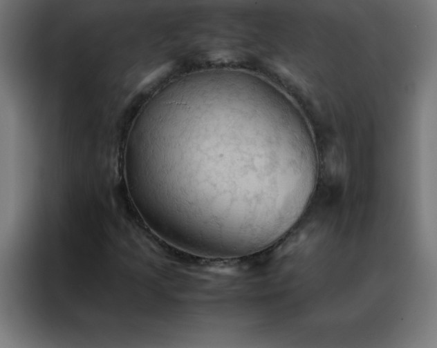 X0000088191205200705221655