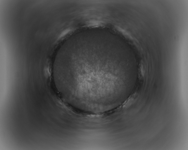 X0000088191206200705221655