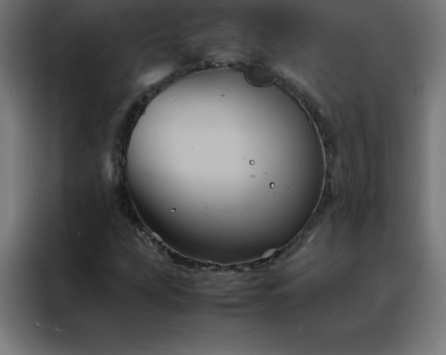 X0000088191207200705221655