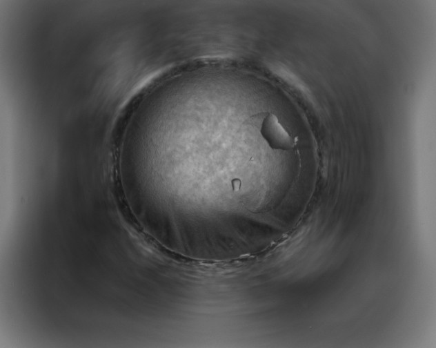X0000088191208200705221655