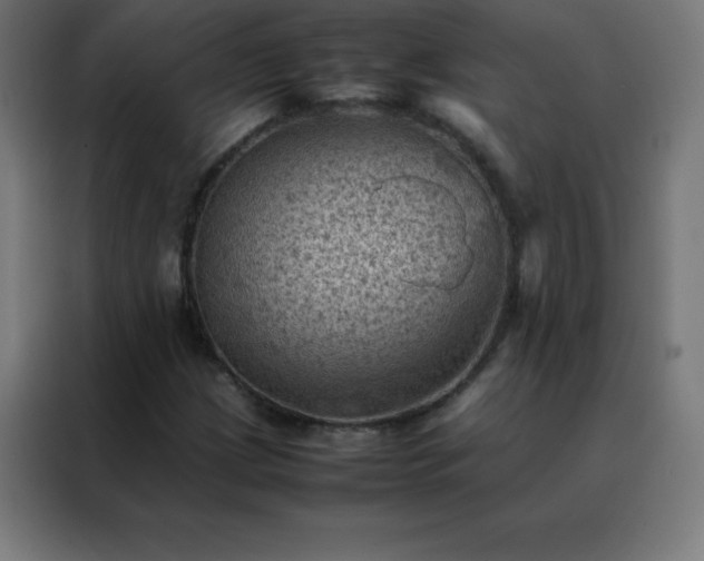 X0000088191209200705221655