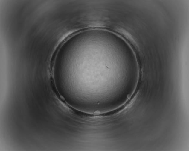 X0000088191212200705221655