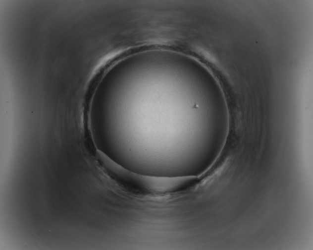 X0000088191214200705221655
