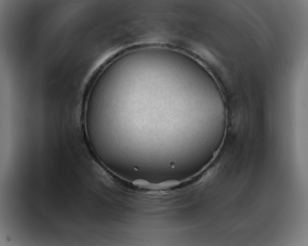 X0000088191216200705221655