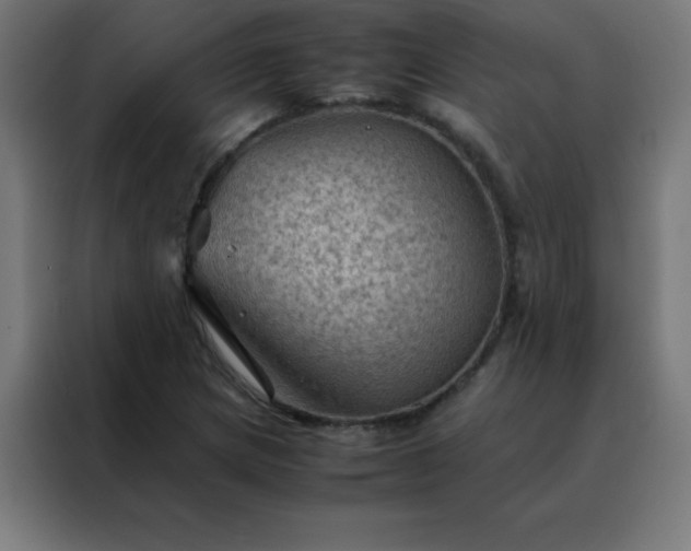 X0000088191217200705221655