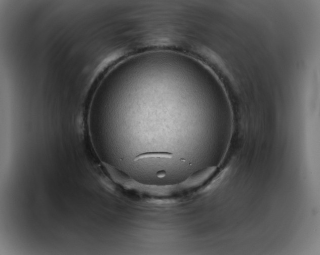 X0000088191218200705221655