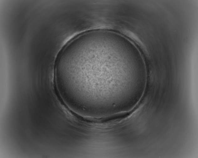X0000088191220200705221655