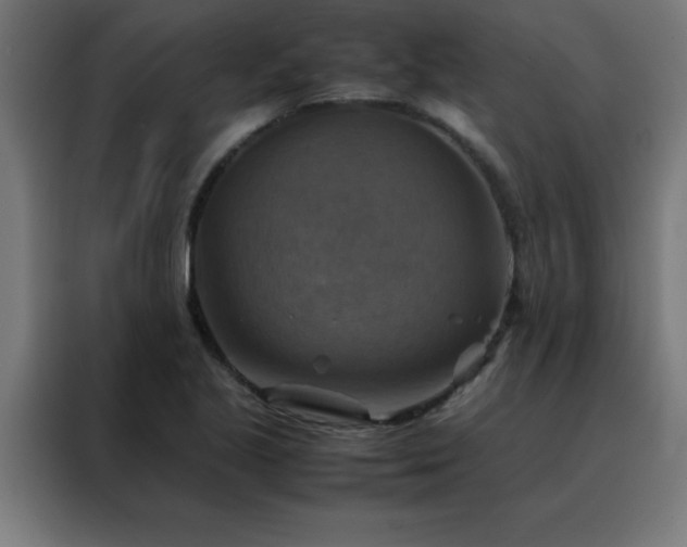 X0000088191221200705221655
