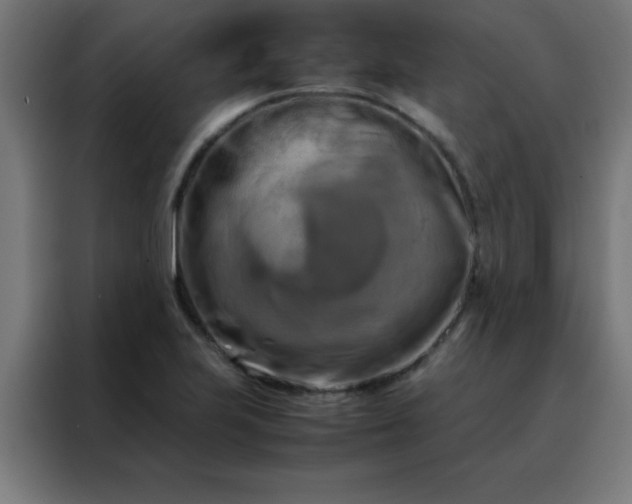 X0000088191223200705221656