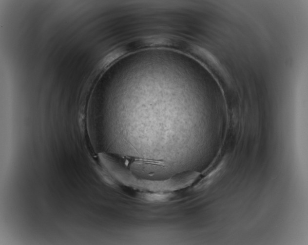 X0000088191225200705221656