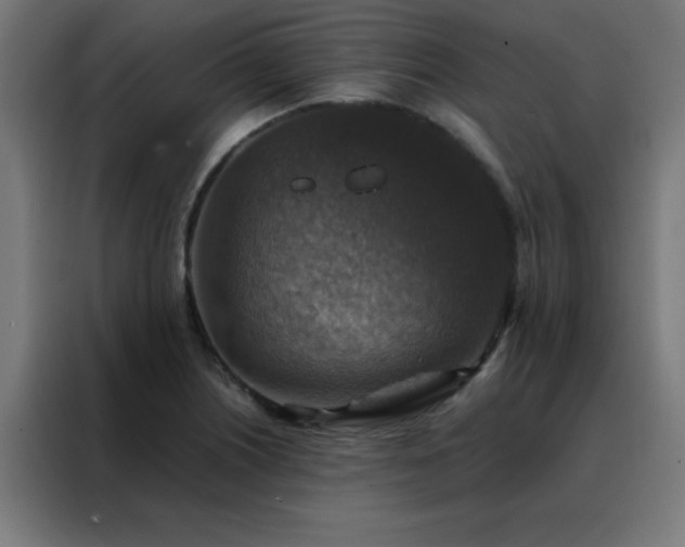 X0000088191226200705221656