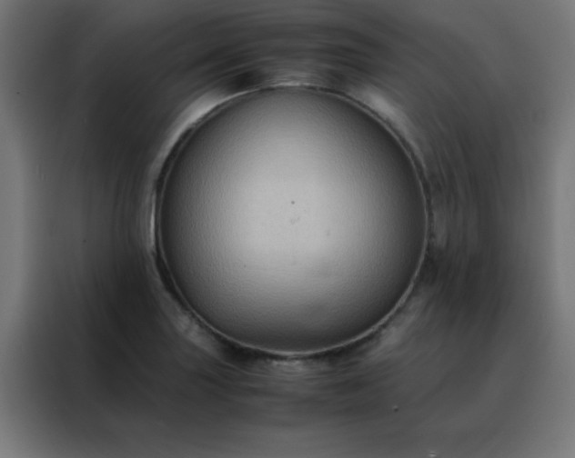 X0000088191227200705221656