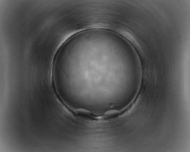 X0000088191228200705221656