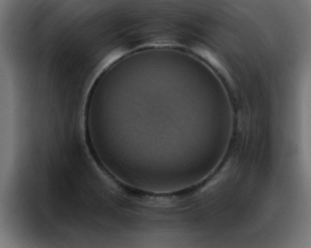 X0000088191229200705221656
