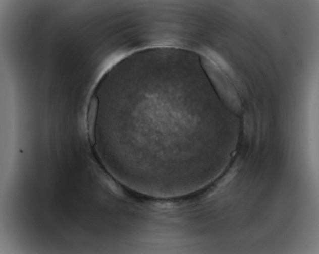 X0000088191230200705221656