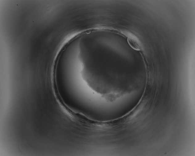 X0000088191231200705221656