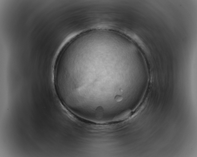 X0000088191232200705221656