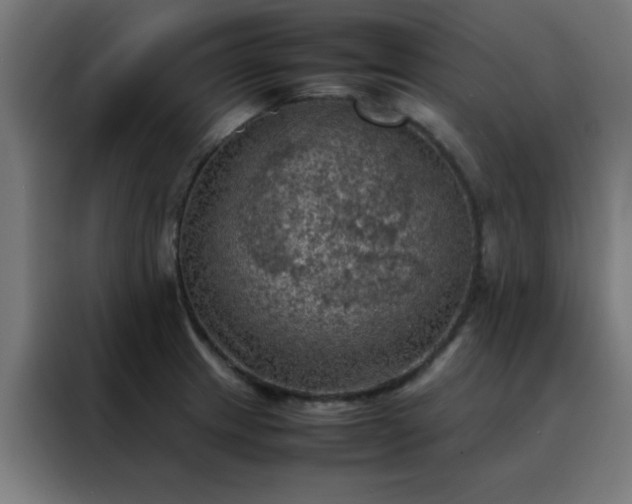 X0000088191233200705221656