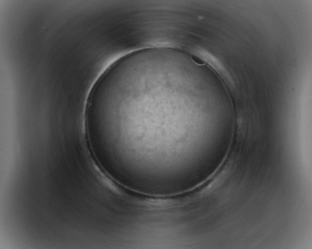 X0000088191236200705221656