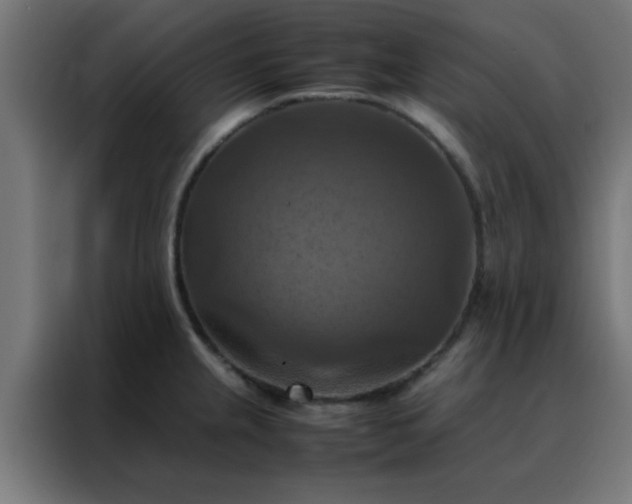 X0000088191237200705221656