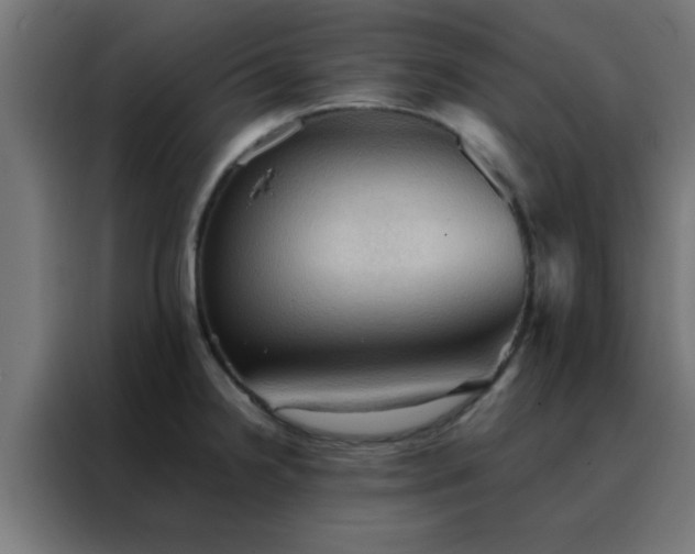 X0000088191238200705221656
