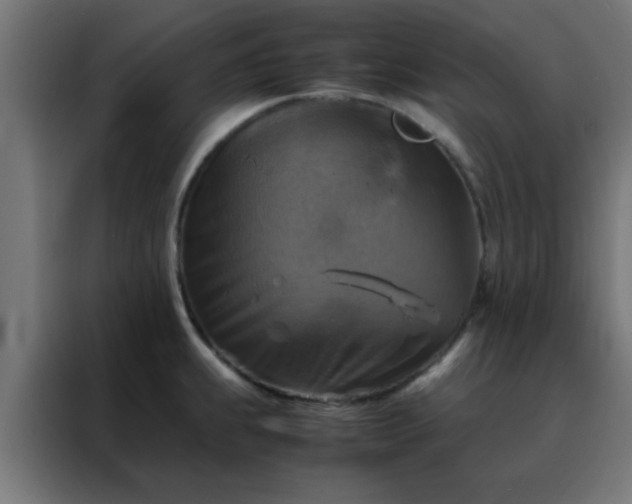 X0000088191239200705221656