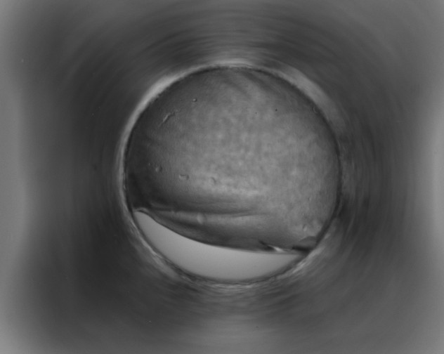 X0000088191240200705221656