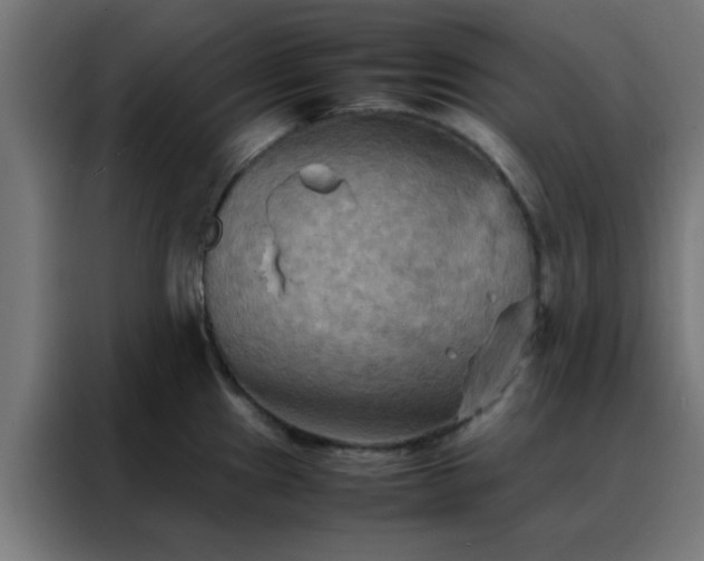X0000088191241200705221656