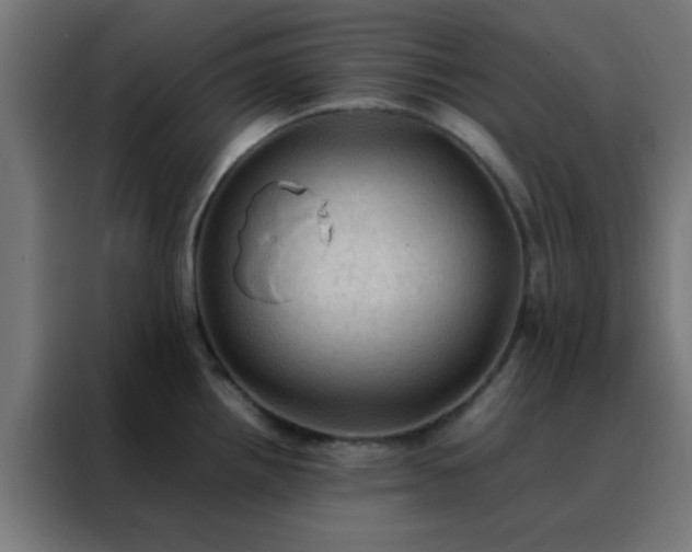 X0000088191242200705221656