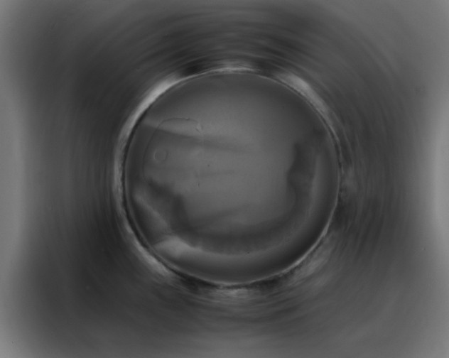 X0000088191243200705221656